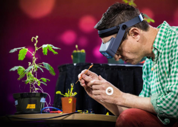 Conheça um pouco mais de Greg Gage, neurocientista atração da Campus Party 2018