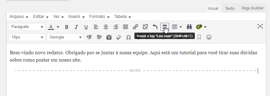 Resumo, texto e tag leia mais