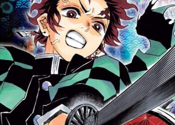 Kimetsu no Yaiba demon slayer