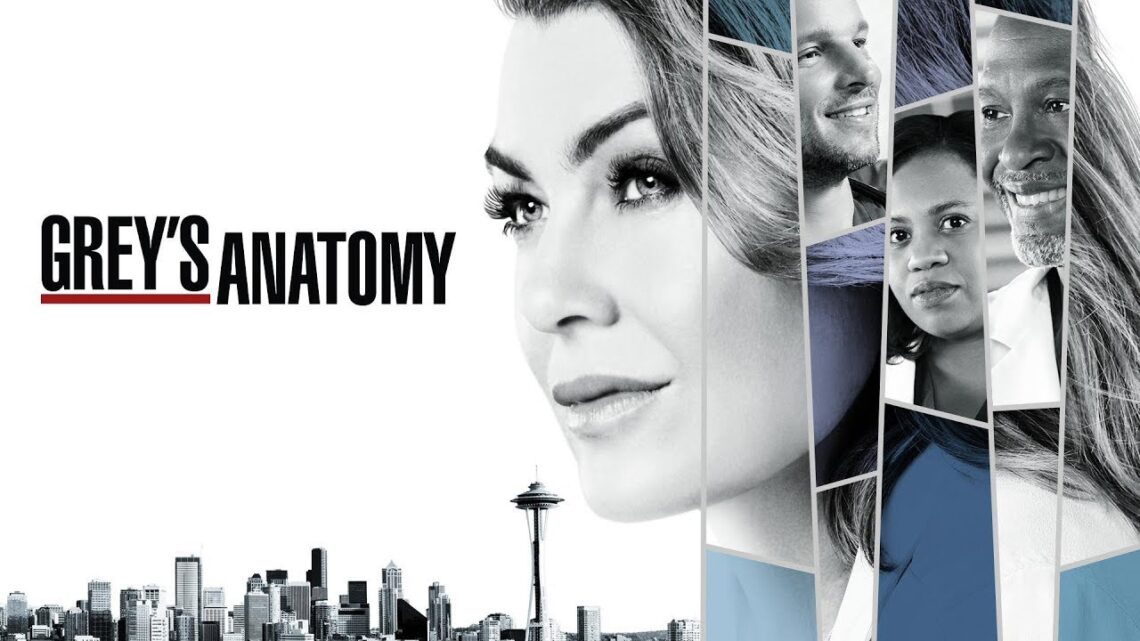Já assistiu Greys Anatomy?