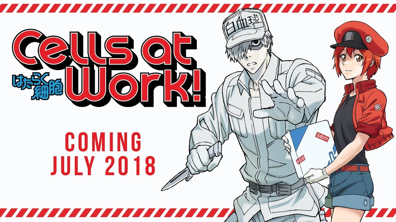 Cells at Work!: novo spin-off sobre as plaquetas será lançado em maio