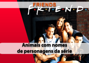 Friends completa 29 anos, saiba quais nomes da série mais comuns entre cães e gatos